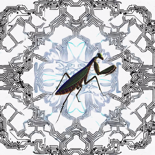 🄯 copyleft - neno_is_ooo